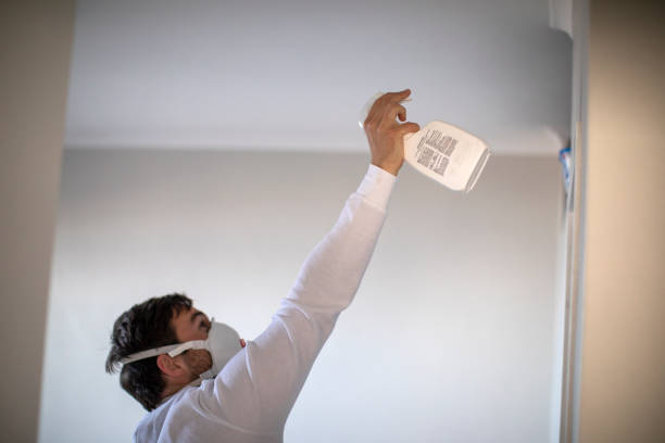 Best Black Mold Removal  in Brisbane, CA