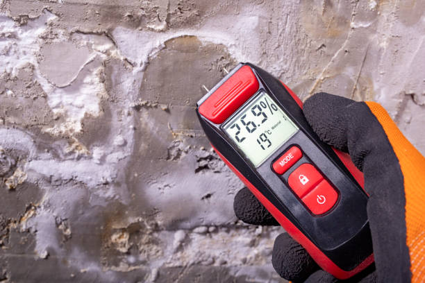 Certified Mold Removal in Brisbane, CA