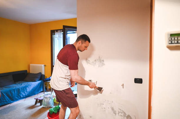 Best Mold Removal Company Near Me  in Brisbane, CA